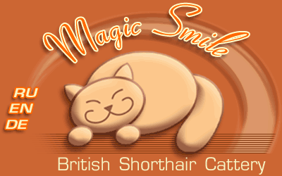 Magic Smile Cattery.   